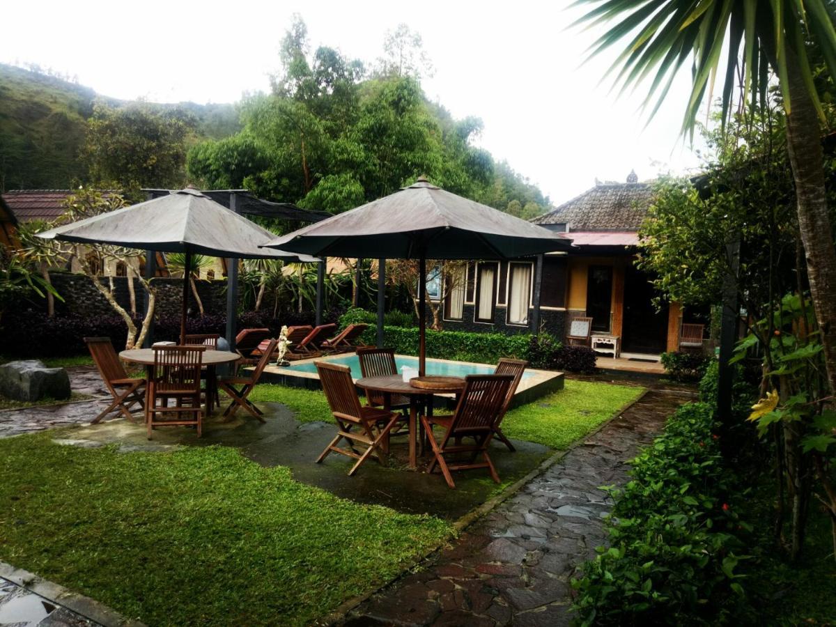 Kintamani Bunbulan Hill Hostel And Cottage מראה חיצוני תמונה