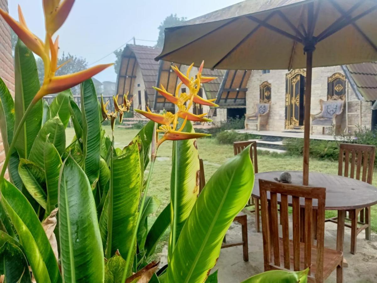 Kintamani Bunbulan Hill Hostel And Cottage מראה חיצוני תמונה