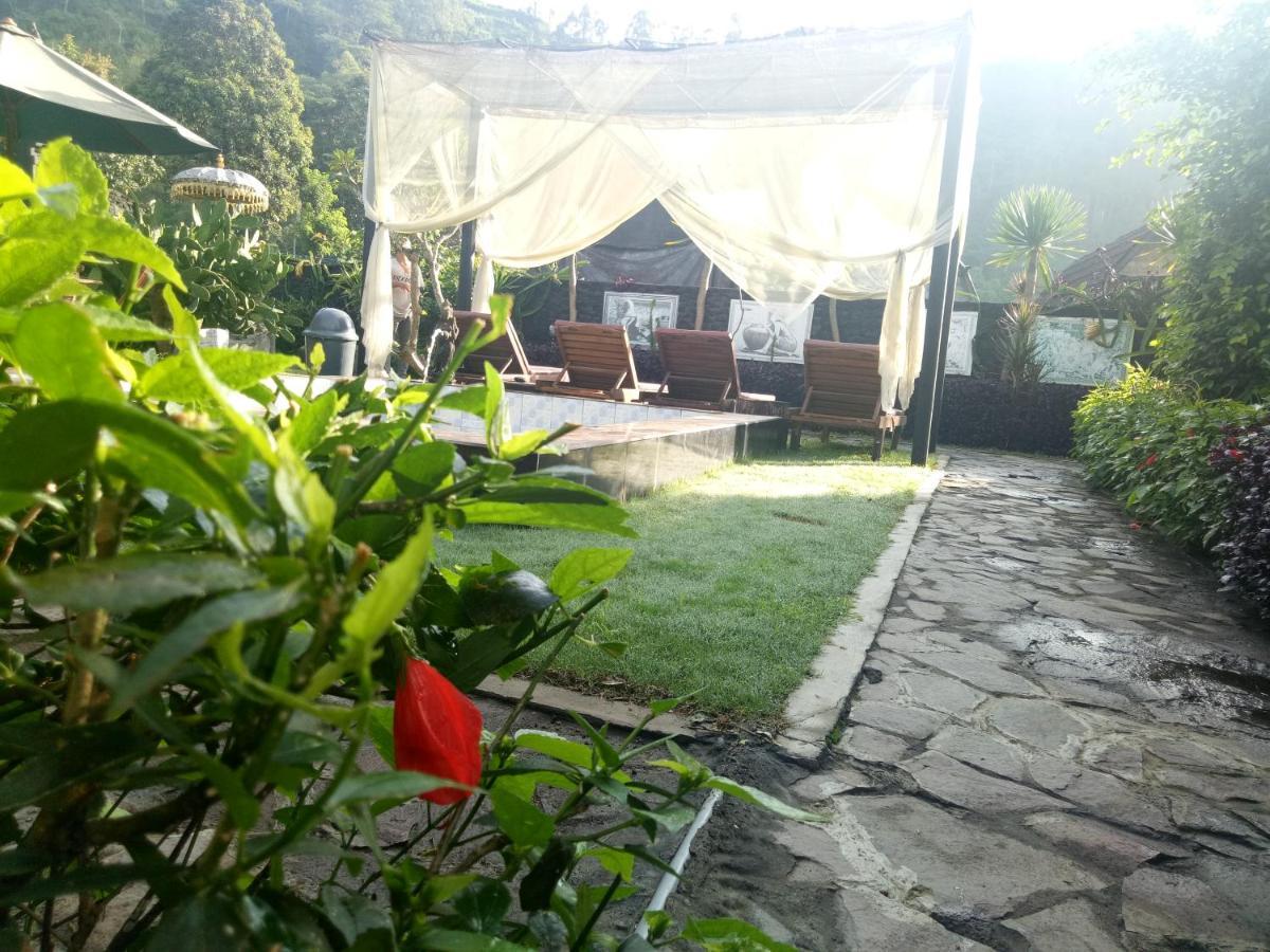 Kintamani Bunbulan Hill Hostel And Cottage מראה חיצוני תמונה